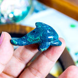 Crystal Dolphin
