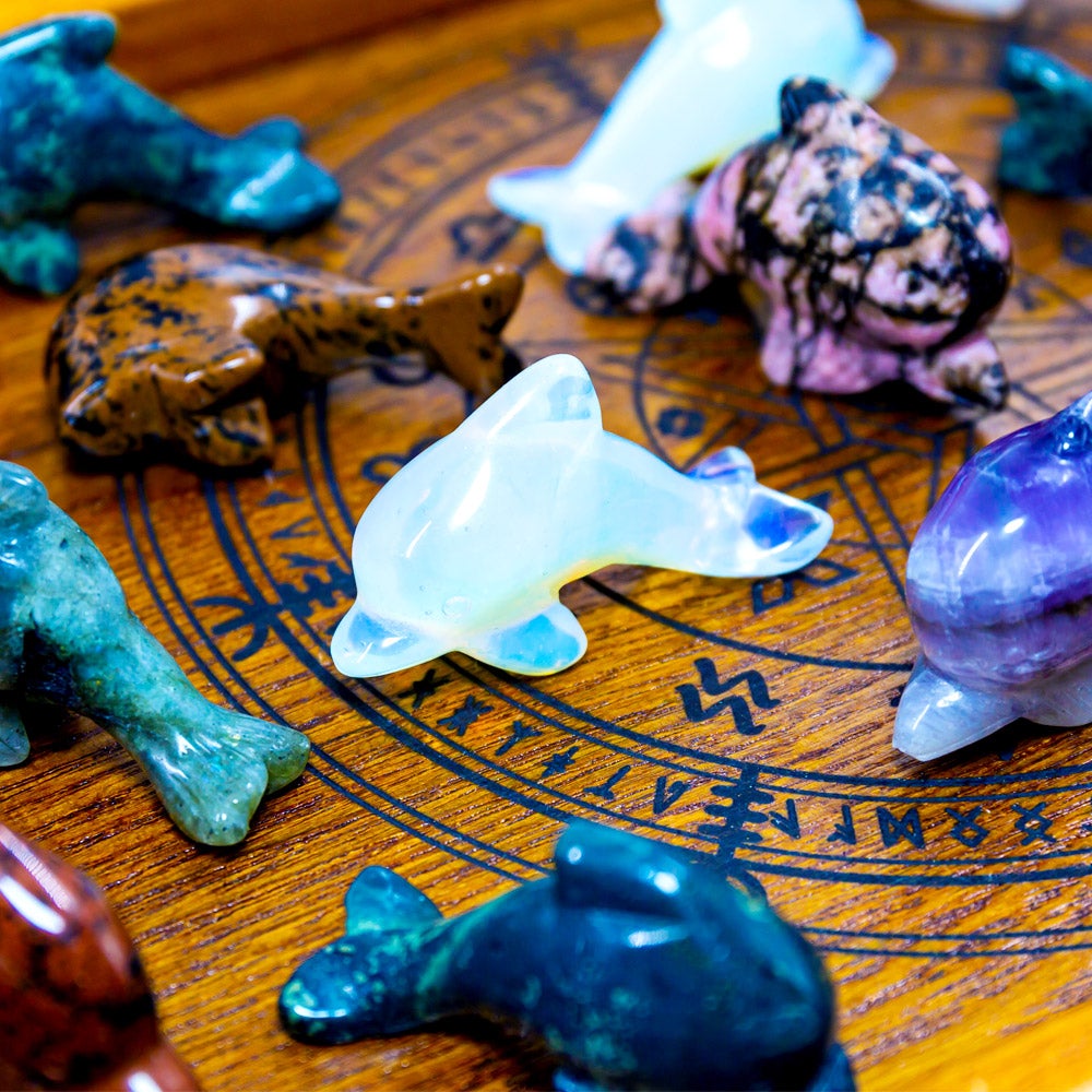 Crystal Dolphin