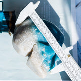 Trolleite Skull 4¡±