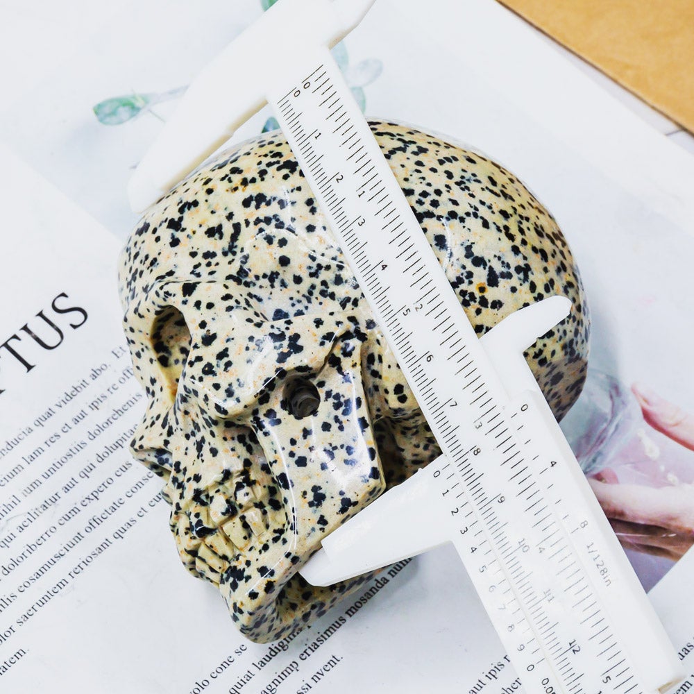 Dalmation Jasper Skull