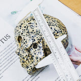 Dalmation Jasper Skull