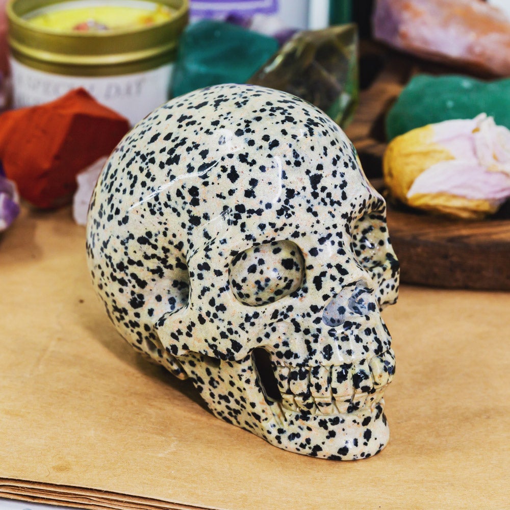 Dalmation Jasper Skull