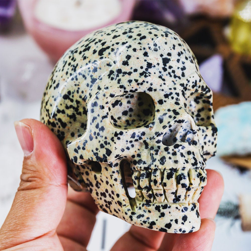 Dalmation Jasper Skull