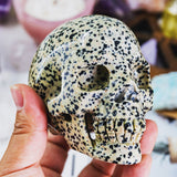 Dalmation Jasper Skull