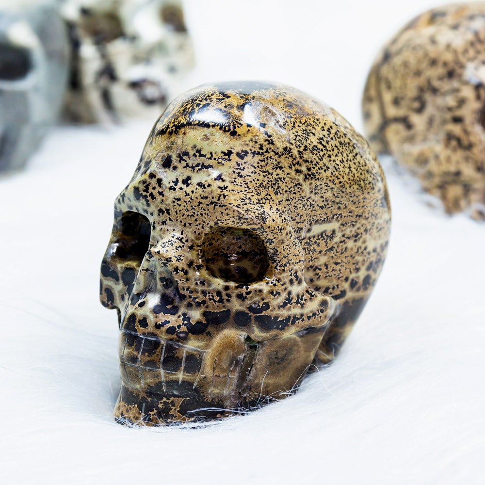 Dendeitic Jasper Skull