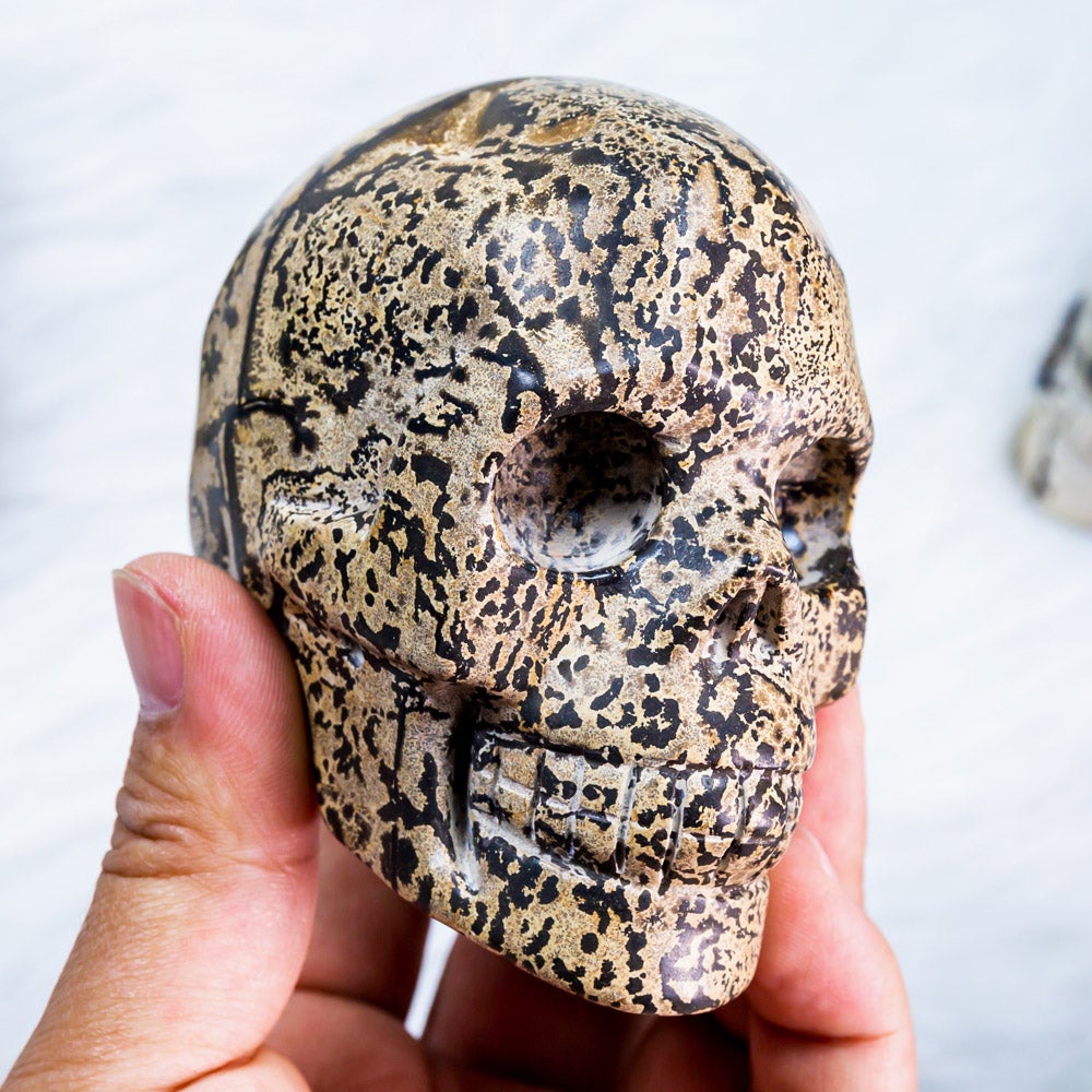 Dendeitic Jasper Skull