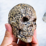 Dendeitic Jasper Skull