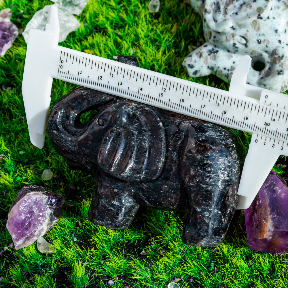 Crystal Elephant¡¾LIMITED SALES¡¿