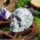 Kiwi Jasper Skull¡¾LIMITED SALES¡¿