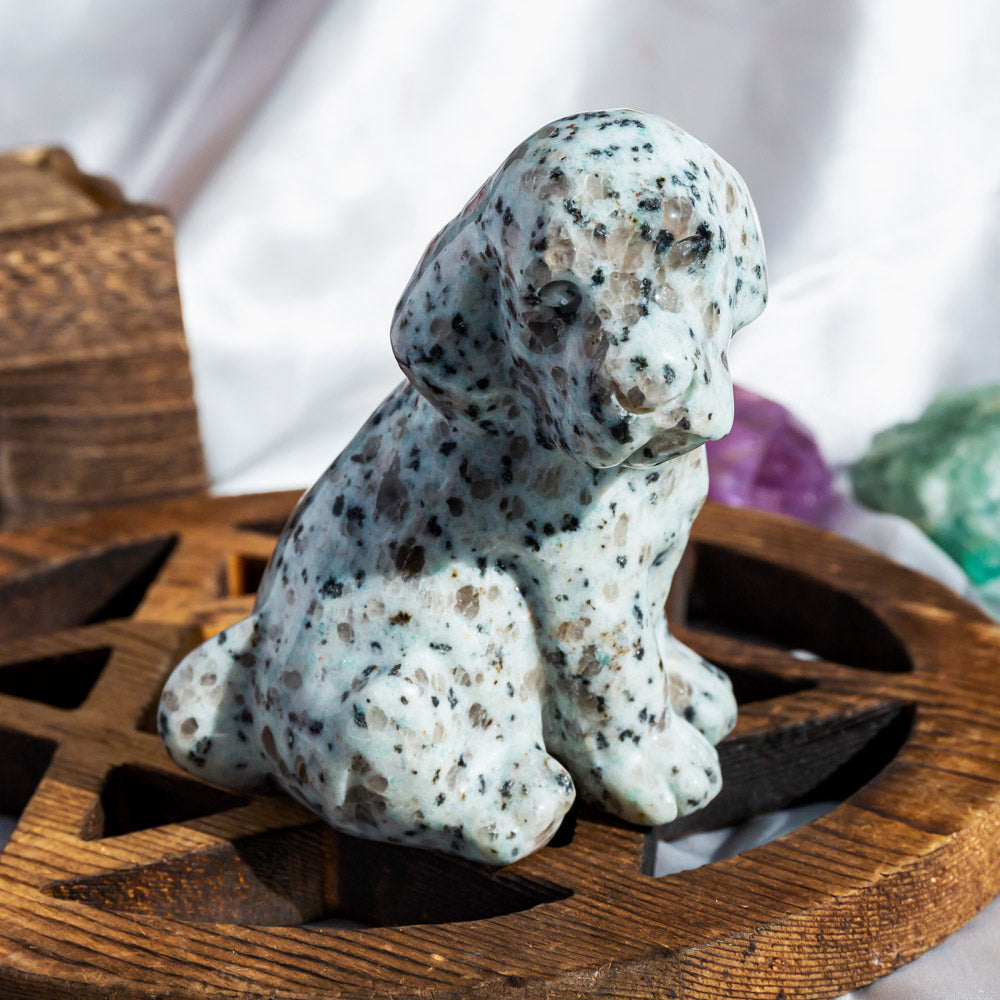 Crystal Dog¡¾LIMITED SALES¡¿