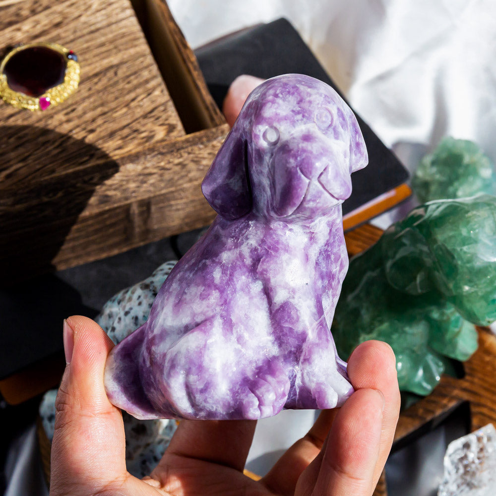 Crystal Dog¡¾LIMITED SALES¡¿