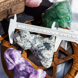 Crystal Dog¡¾LIMITED SALES¡¿