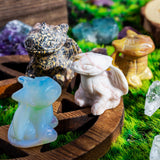 Crystal Toothless¡¾LIMITED SALES¡¿