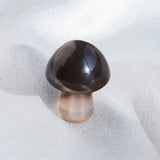 Crystal Mushroom¡¾LIMITED SALES¡¿