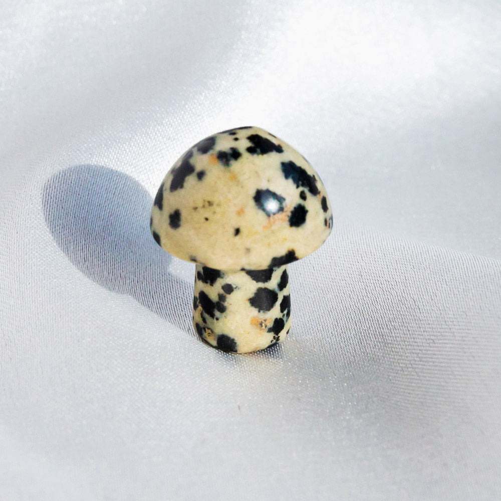 Crystal Mushroom¡¾LIMITED SALES¡¿