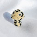 Crystal Mushroom¡¾LIMITED SALES¡¿