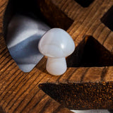 Crystal Mushroom¡¾LIMITED SALES¡¿