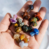 Crystal Mushroom¡¾LIMITED SALES¡¿