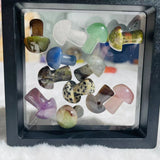 Rose&Jack's Live Crystal Lucky Scoop & Mystery Crystal Link