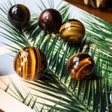 Tiger Eye Ball