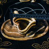 Zebera jasper heart mug/cup