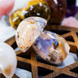 Agate Mushroom