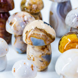 Agate Mushroom
