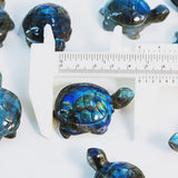 Labradorite Tortoise