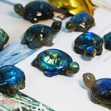 Labradorite Tortoise