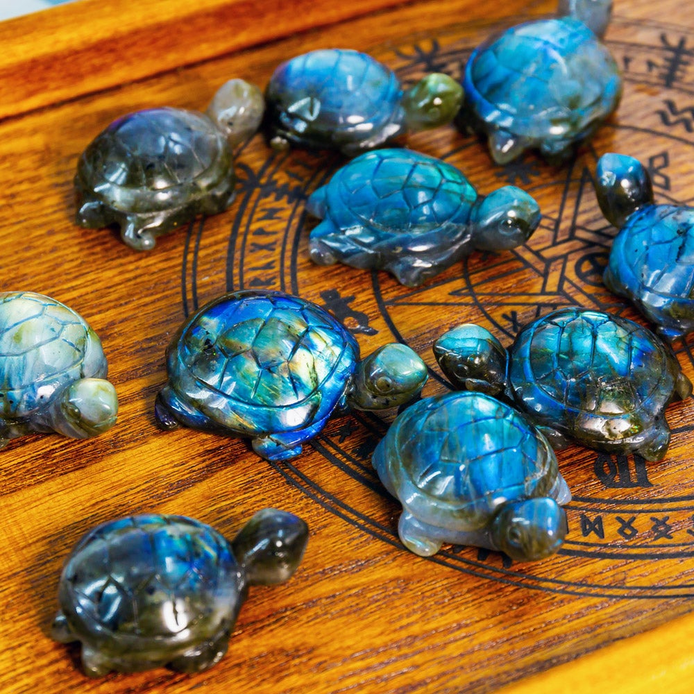 Labradorite Tortoise