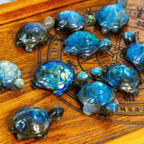 Labradorite Tortoise