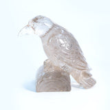Smoky Quartz Crow