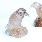 Smoky Quartz Crow