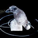Smoky Quartz Crow