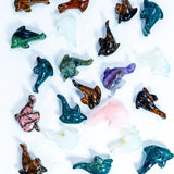 Crystal Dolphin