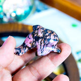 Crystal Dolphin