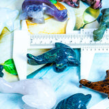 Crystal Dolphin