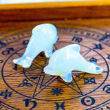 Crystal Dolphin