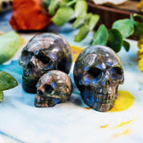 1.5" Que Sera Skull