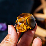 Tiger-eye Skull 2¡±