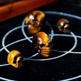 Tiger-eye Skull 2¡±