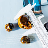 Tiger-eye Skull 2¡±