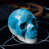 Trolleite Skull 4¡±