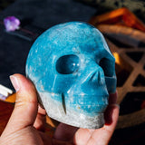 Trolleite Skull 4¡±