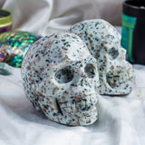Kiwi Jasper Skull