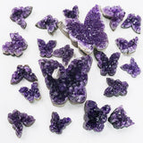 Amethyst Butterfly