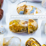 Agate Mushroom