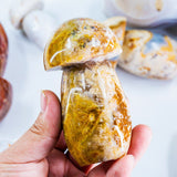 Agate Mushroom