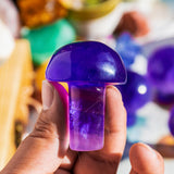 Flourite mushroom