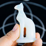 Opalite Cat